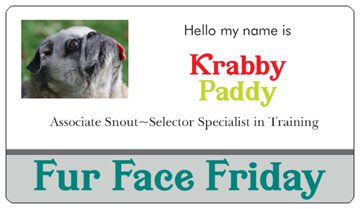 Illustration for article titled Fur Face Friday~ Special Memorial Edition
